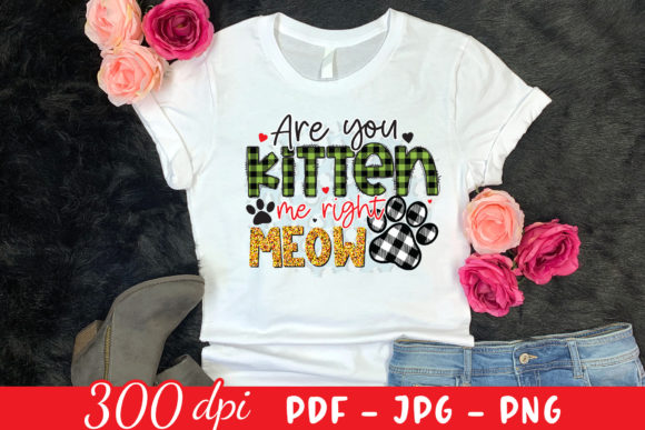 Are You Kitten Me Right Meow Cat PNG Review